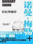 巴巴裡海岸